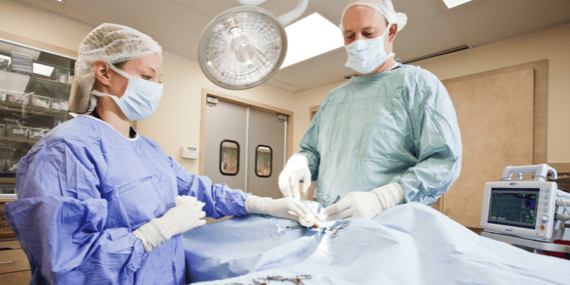 Gorilla Glue, gorilla glue dangers to pets, dangers of ingesting gorilla glue, pet emergency, cyano-bezoars, pet health, Animal Emergency & Referral Center of Minnesota, Twin Cities animal emergency hospital, Saint Paul animal emergency hospital