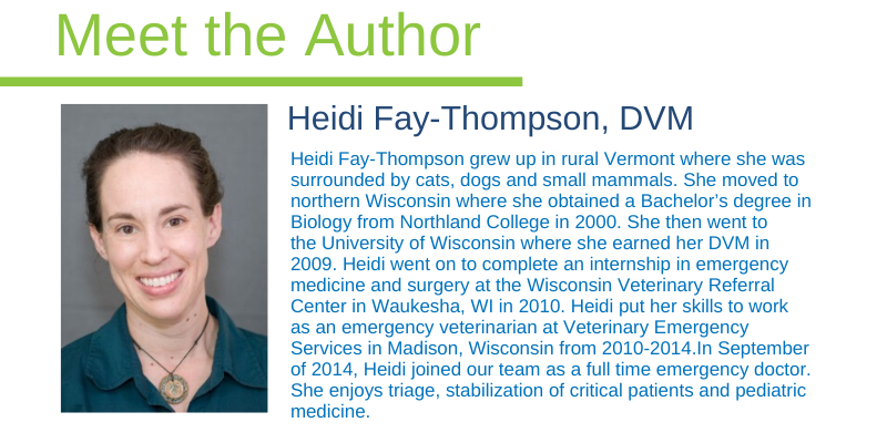injured pets, emergency vet, Twin Cities emergency vet, transporting injured pets, critical pets, pet owners, Animal Emergency & Referral Center of Minnesota