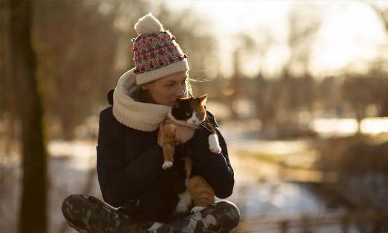 Animal Emergency & Referral Center of Minnesota (AERC)
