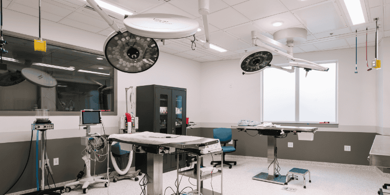 surgery suite, pet surgeries, AERC Surgery Service, most common pet surgeries, board-certified veterinary surgeon, Animal Emergency & Referral Center of Minnesota, pet surgeon, Twin Cities pet surgeon, Minnesota pet surgeon, pet health, veterinary surgery