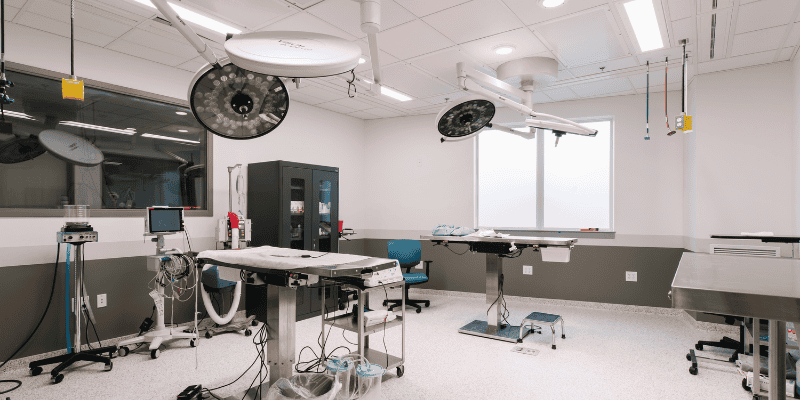 surgery suite, pet emergencies, emergency pet surgery, veterinary surgery, Twin Cities board-certified veterinary surgeon, Minnesota board-certified veterinary surgeon, Animal Emergency & Referral Center of Minnesota, veterinary surgery, emergency veterinary surgery, most common reasons for pets to need emergency surgery