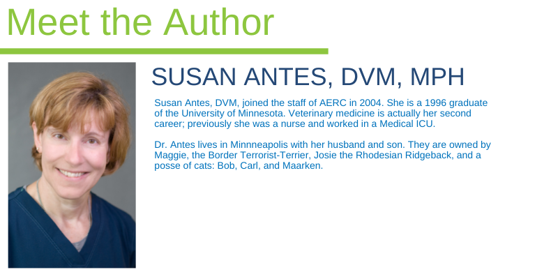 Susan Antes, DVM, MPH, Animal Emergency & Referral Center of Minnesota