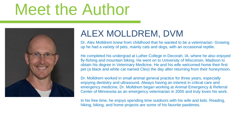 Alex Molldrem, DVM, Animal Emergency & Referral Center of Minnesota, emergency veterinarian
