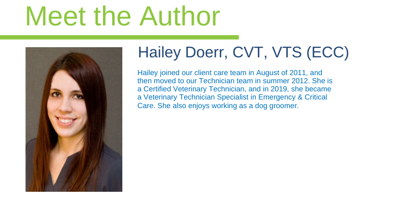Hailey Doerr, CVT, VTS (ECC)
