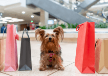 holiday shopping, shopping with dogs, shopping with pets, pet-friendly stores, Animal Emergency & Referral Center of Minnesota