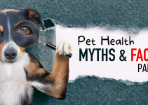 pet health myths, veterinary, Animal Emergency & Referral Center of Minnesota, veterinary medicine, Twin Cities emergency vet, Minnesota emergency vet