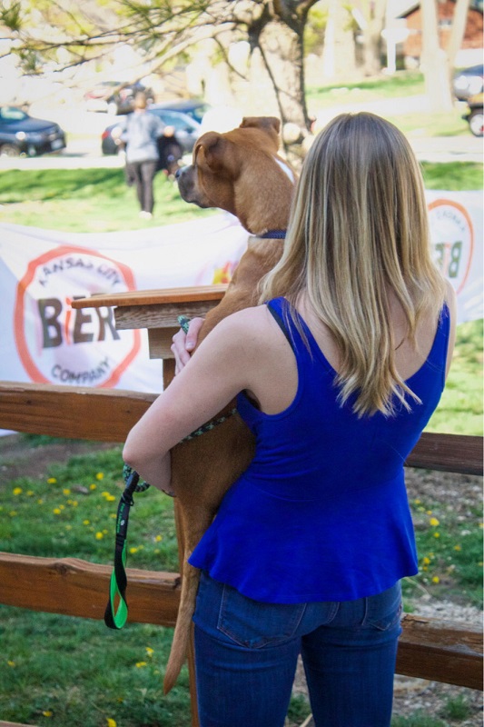 Can I Bring My Dog? A Twin Cities Guide to DogFriendly Patios