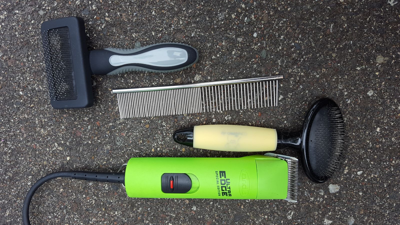 How to Untangle Matted Pet Hair Animal Emergency & Referral Center of Minnesota