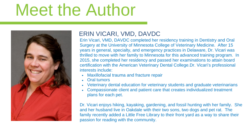 Dr. Erin Vicari, VMD, DVDC, board-certified veterinary dentist