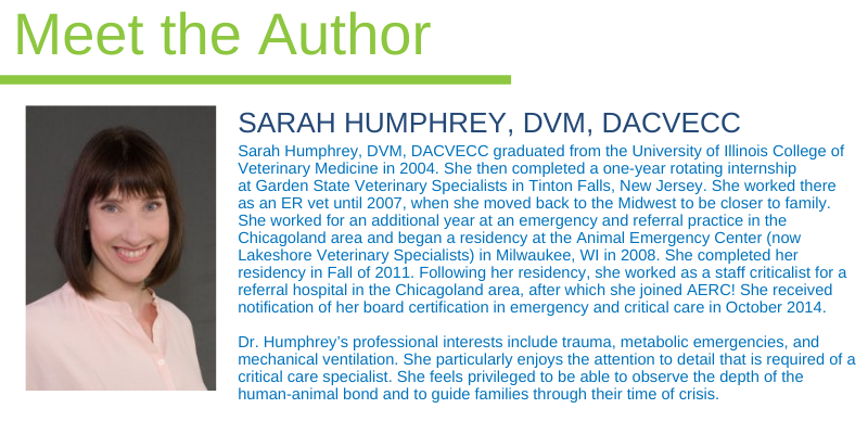 Sarah Humphrey, DVM, DACVECC, board-certified criticalist, Animal Emergency & Referral Center of Minnesota