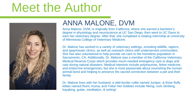 Anna Malone, DVM, Animal Emergency & Referral Center of Minnesota, emergency veterinarian