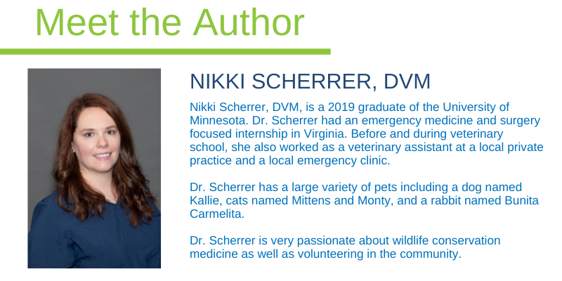 Nikki Scherrer, DVM, Animal Emergency & Referral Center of Minnesota