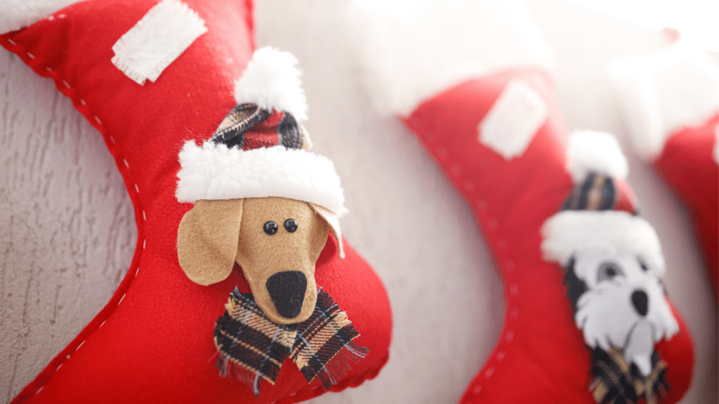 vet approved stocking stuffers for dogs, holiday dog gifts, dog gift guide, holiday gifts for dogs, Twin Cities holiday gift guide for dogs, Twin Cities dog gift guide, Animal Emergency & Referral Center of Minnesota, Twin Cities emergency vet, dog gifts, dog stocking stuffers
