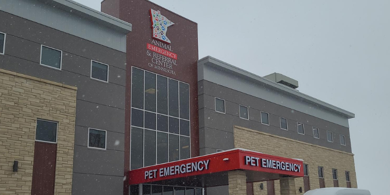 pet emergency, unproductive retching in pets, pet health, coughing in pets, nausea in pets, obstructed airway in pets, GDV, gastric dilatation and volvulus, emergency vet, Twin Cities emergency vet, Minnesota emergency vet, Animal Emergency & Referral Center of Minnesota