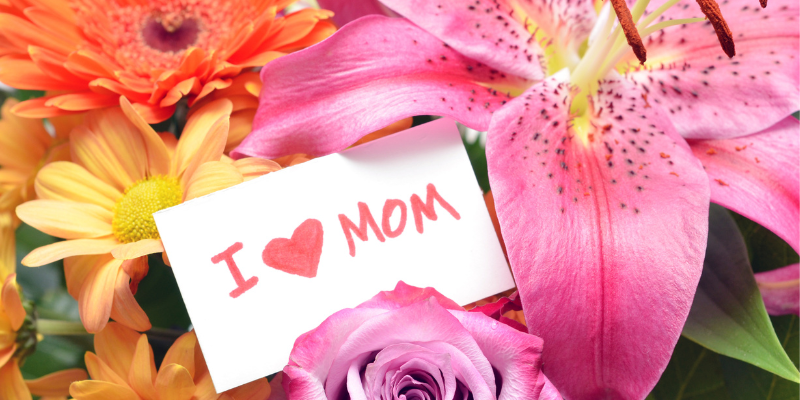 Mother's Day pet dangers, Mother's Day pet toxins, Mother's Day pet hazards, pet safety, pet health, pet mom, chocolate, flowers, essential oils, grapes, coffee, xylitol, Animal Emergency & Referral Center of Minnesota