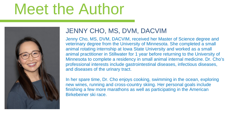 Jenny Cho, MS, DVM, DACVIM, board-certified veterinary specialist in Internal Medicine at Animal Emergency & Referral Center of Minnesota