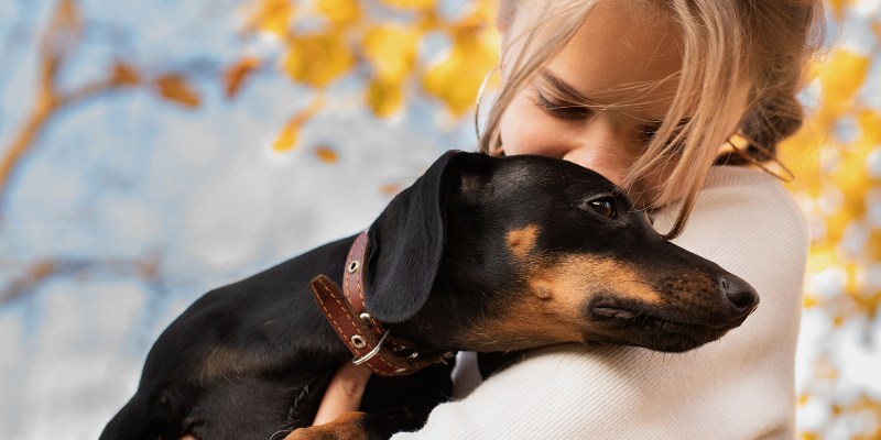 dog, woman, hug, mammary tumors, dog, cats, pets, pet health, veterinary oncology, Animal Emergency & Referral Center of Minnesota