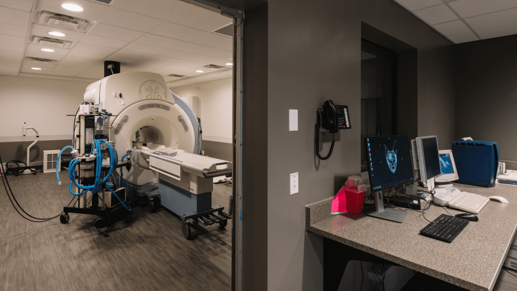 A veterinary MRI and viewing room, Animal Emergency & Referral Center of Minnesota, veterinary neurology