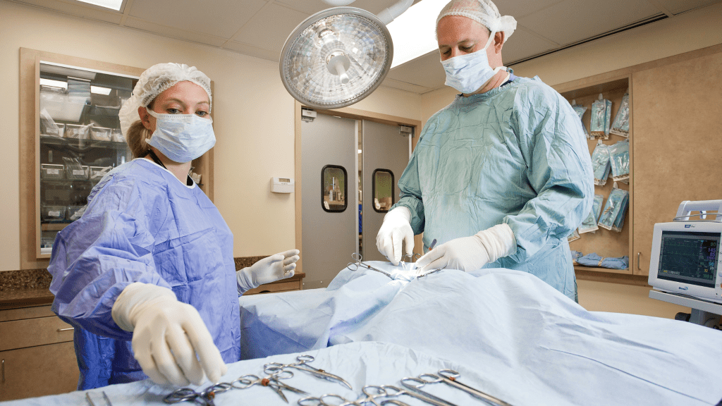 Two veterinary professionals standing on either side of a surgery table in a surgery suite.