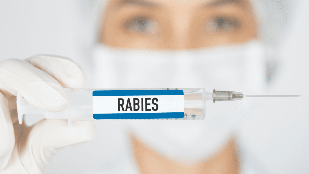 Medical professional holding a vaccination labeled "Rabies"